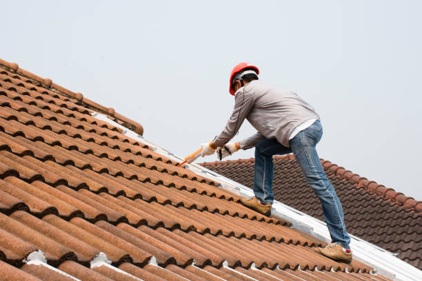 4 Ply Roofing in Seminole Manor, FL